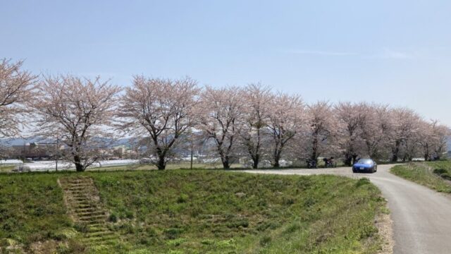 氷上さくら公園